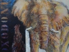 Loxodonta. Afikansk Elefant. 30x30x4